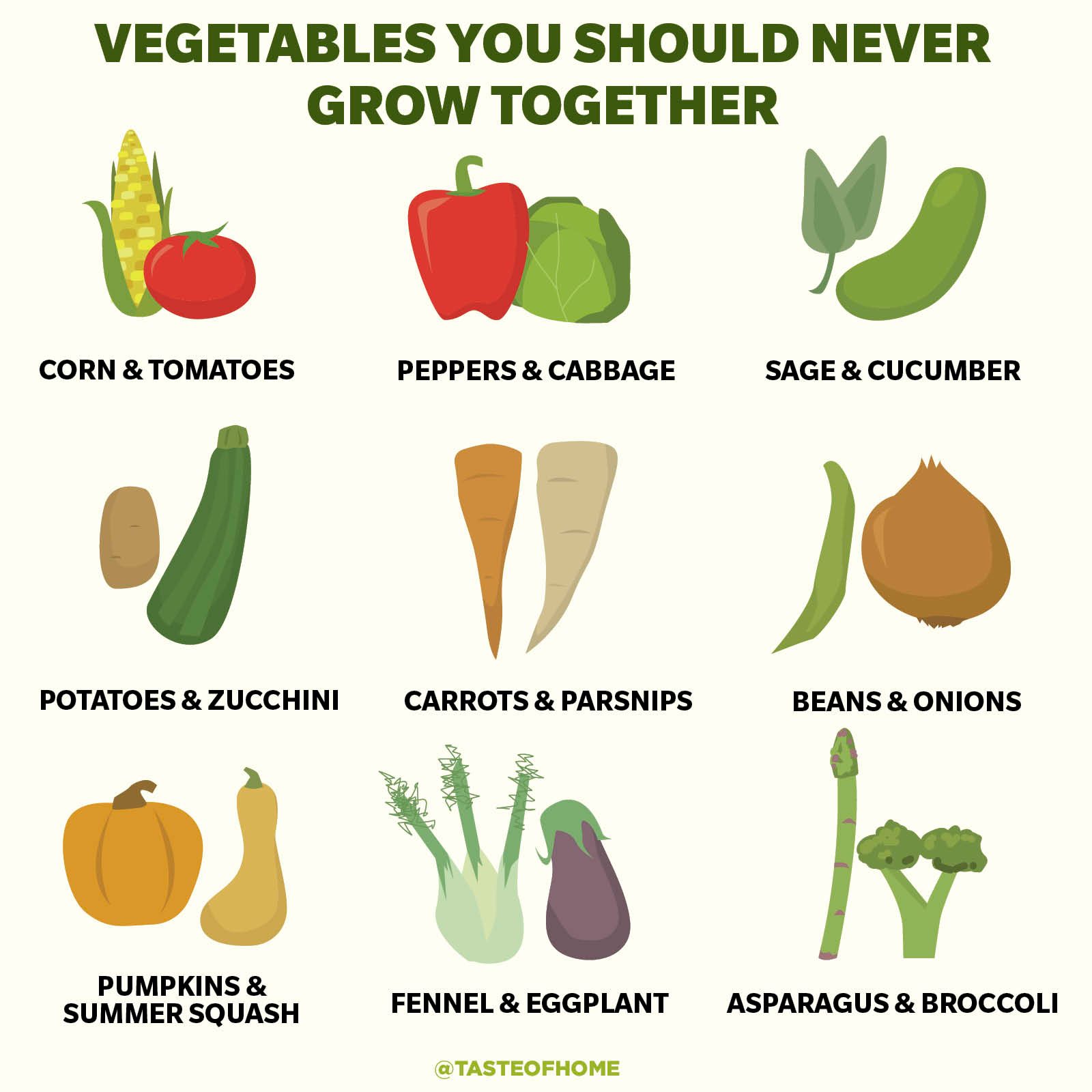 18 Vegetables You Should Never Grow Together