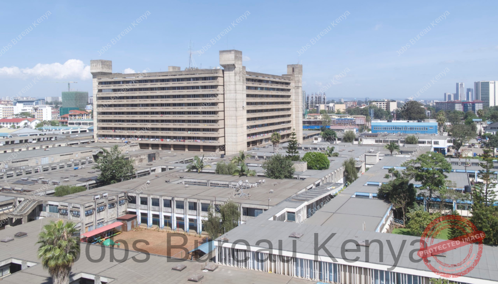 fully-funded-paediatric-anaesthesia-fellowships-at-university-of-nairobi-2025/2026-|-apply-now!