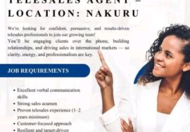 Telesales Agent at CCK Global