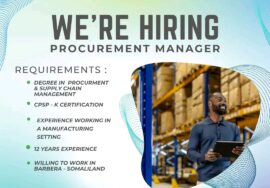 Procurement Manager at Knightwise Human Capital
