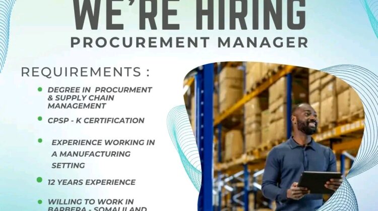 Procurement Manager at Knightwise Human Capital
