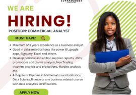 Commercial Analyst at Sayen