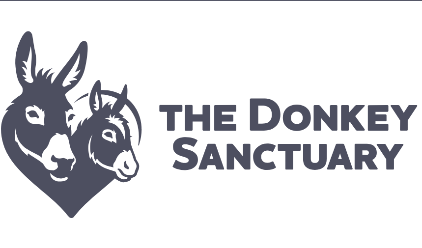 The Donkey Sanctuary is Hiring an Front of House Assistant (2079)
