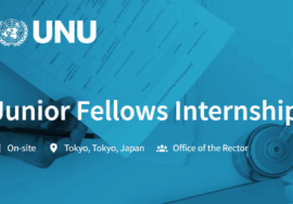 United Nations University Junior Fellows Internship
