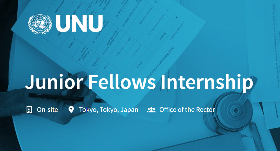 United Nations University Junior Fellows Internship